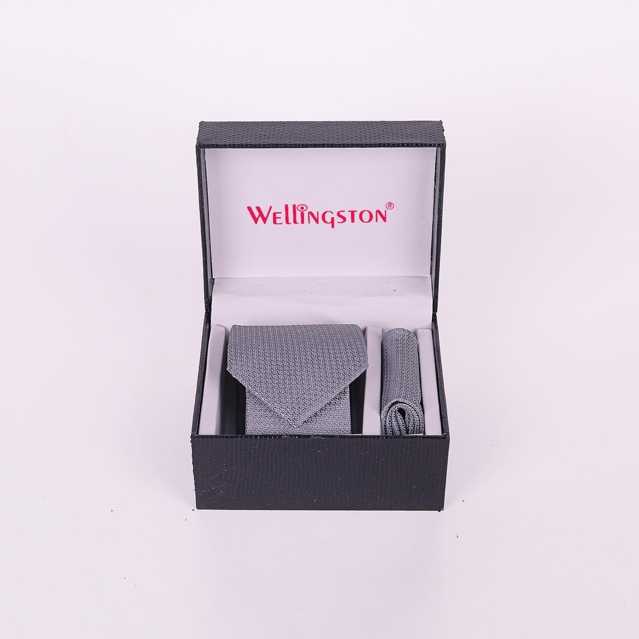 Wellingston Grey Texture Tie For Men – Formal Ties With Pocket Square, MicrPoly Neckties Gift Sets For Men’s