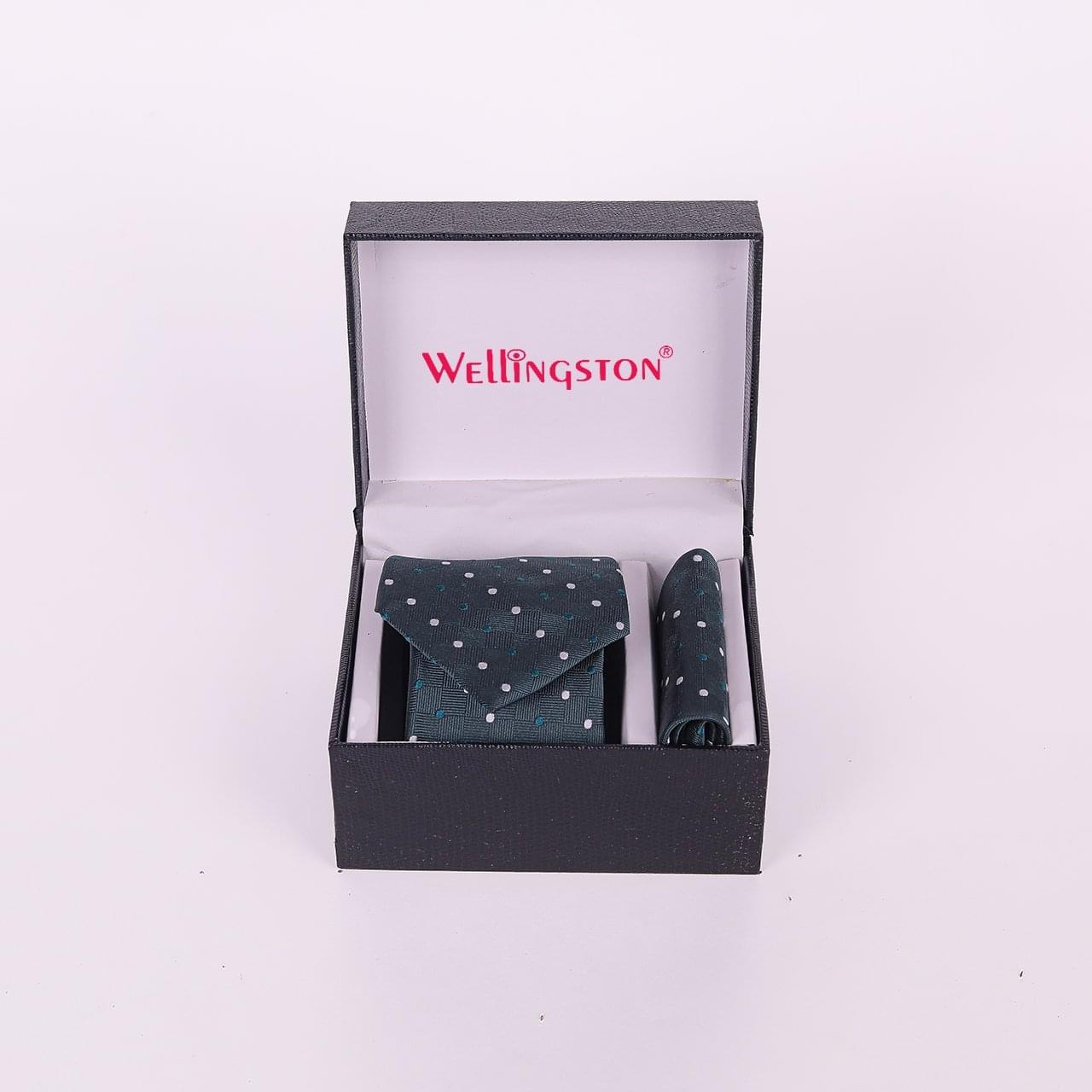 Wellingston Green Texture Tie For Men – Formal Ties With Pocket Square, MicroPoly Neckties Gift Sets For Men’s
